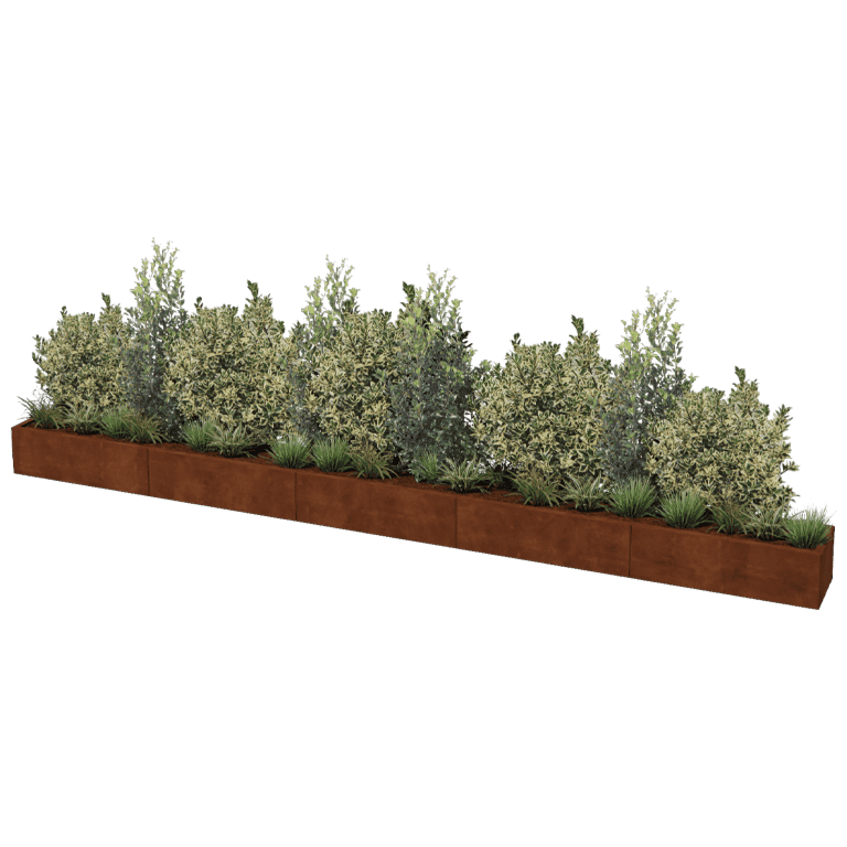Corten acél virágláda Texas xxl 500 x 40 cm