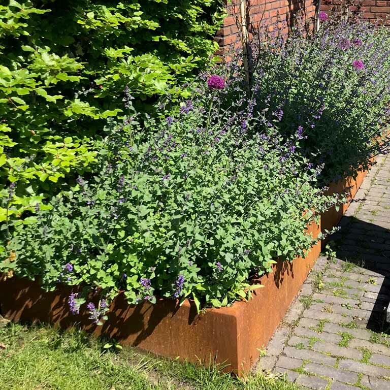 Corten acél támfal egyenes 100 cm (magasság 50 cm)