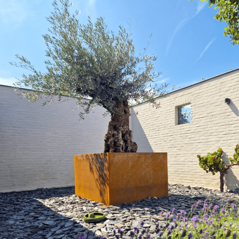 Corten acél hegesztett virágláda Montana 120 x 120 x 80 cm