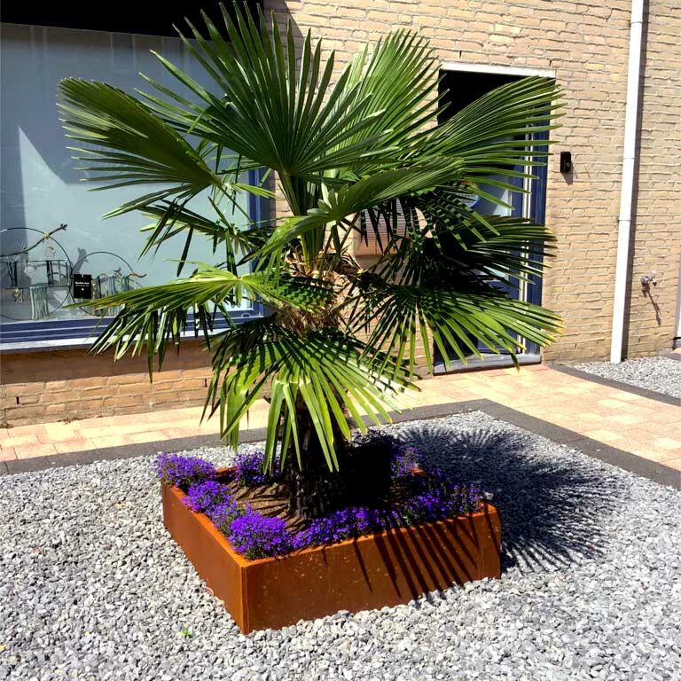 Corten acél virágláda Miami 100 x 100 cm