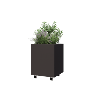 Acél virágláda - Négyzet - 50 x 50 x 60 cm - RAL7016 matt (antracitszürke) - Fenéklemezzel - Kerekekkel