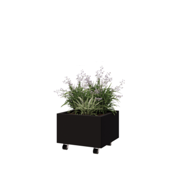 Acél virágláda - Négyzet - 50 x 50 x 30 cm - RAL9005 matt (fekete) - Fenéklemezzel - Kerekekkel