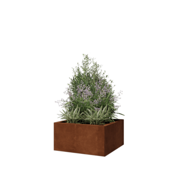 Corten acél virágláda - Négyzet - 60 x 60 x 30 cm - Fenéklemez nélkül