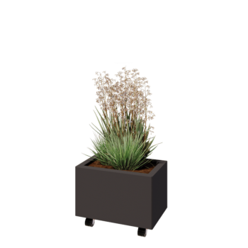 Acél virágláda - Téglalap - 50 x 30 x 30 cm - RAL7016 matt (antracitszürke) - Fenéklemezzel - Kerekekkel