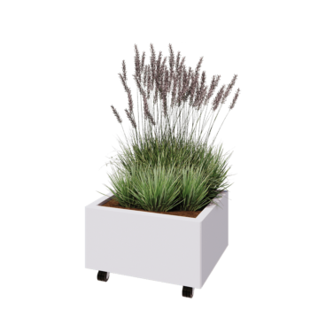 Acél virágláda - Téglalap - 60 x 50 x 30 cm - RAL9010 matt (fehér) - Fenéklemezzel - Kerekekkel