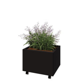 Acél virágláda - Téglalap - 60 x 50 x 40 cm - RAL9005 matt (fekete) - Fenéklemezzel - Kerekekkel