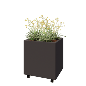 Acél virágláda - Téglalap - 60 x 50 x 60 cm - RAL7016 matt (antracitszürke) - Fenéklemezzel - Kerekekkel