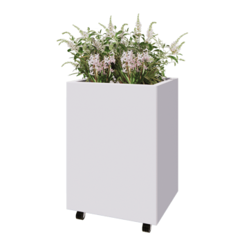 Acél virágláda - Téglalap - 60 x 50 x 80 cm - RAL9010 matt (fehér) - Fenéklemezzel - Kerekekkel