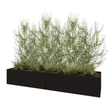 Acél virágláda XXL - Téglalap - 240 x 60 x 40 cm - RAL9005 matt (fekete) - Fenéklemez nélkül