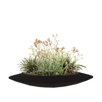 Üvegszálas virágláda - Tál - Ø 120 x 20 cm - RAL9005 matt (fekete) - Alátéttel