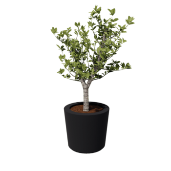 Üvegszálas virágláda - Kúpos - Ø 63 x 52 cm - RAL7021 matt (fekete szürke) - Alátéttel