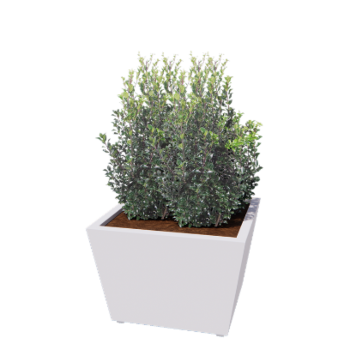 Acél virágláda - Kúp - 80 x 80 x 51,5 cm - Hegesztett - RAL9010 matt (fehér) - Fenéklemezzel