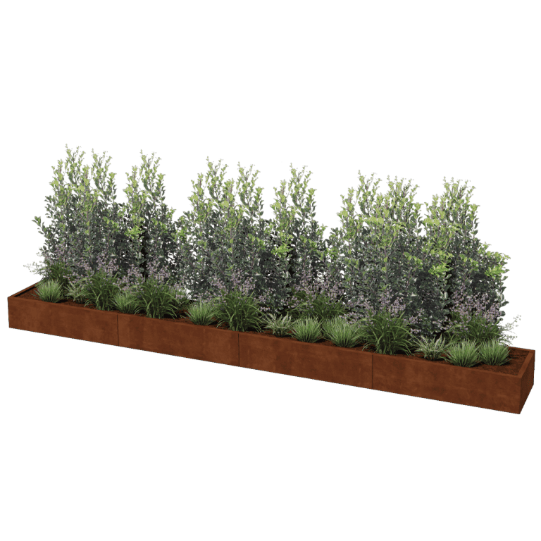 Corten acél virágláda Texas xxl 480 x 60 cm