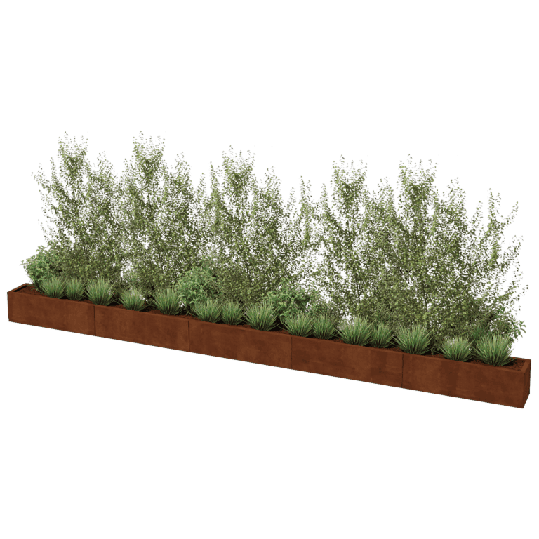Corten acél virágláda Texas xxl 500 x 30 cm