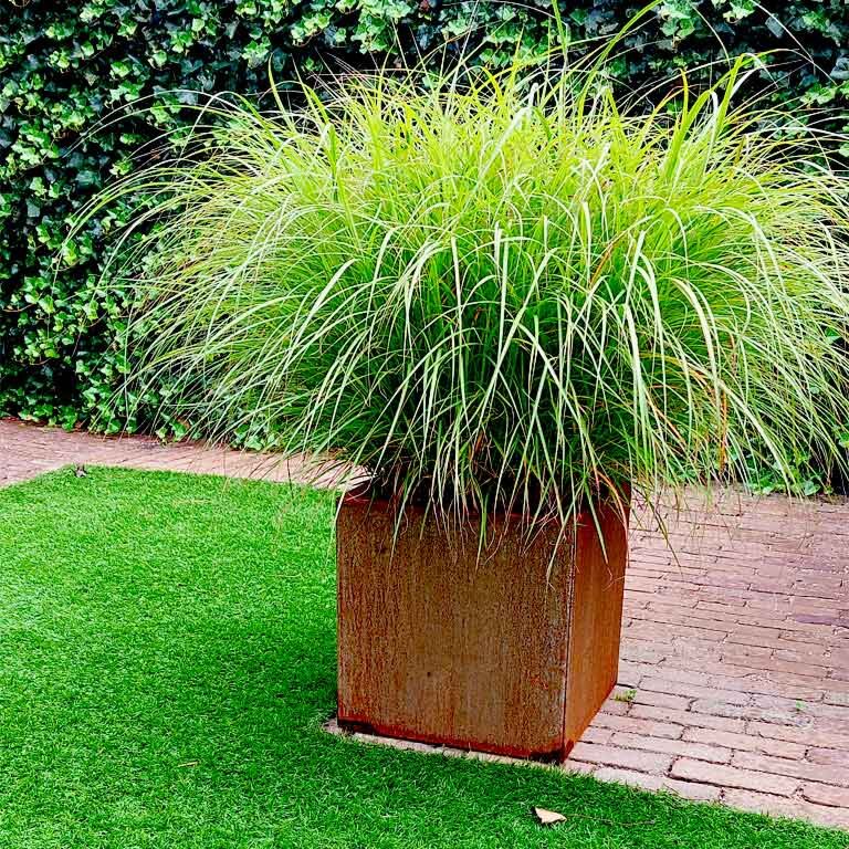 Corten acél virágláda Miami 40 x 40 cm