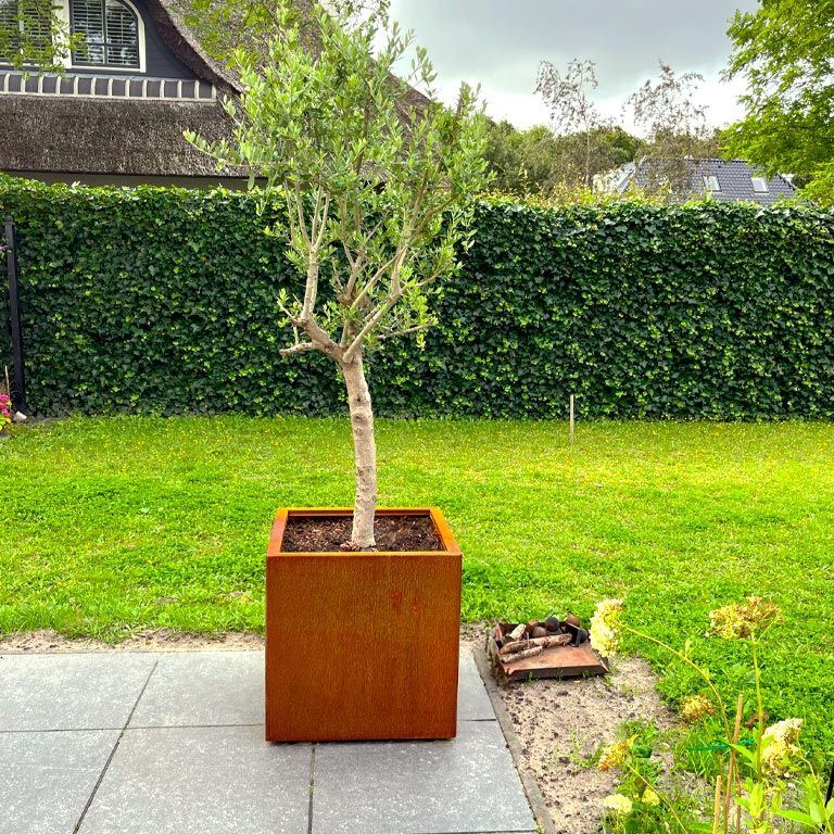 Corten acél virágláda Miami 60 x 60 cm