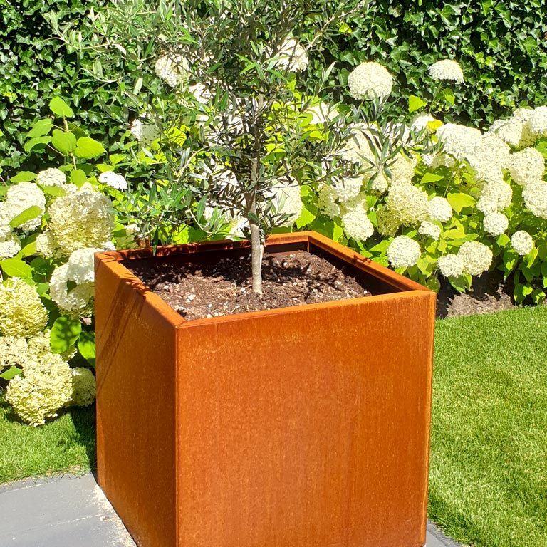 Corten acél virágláda Miami 70 x 70 cm