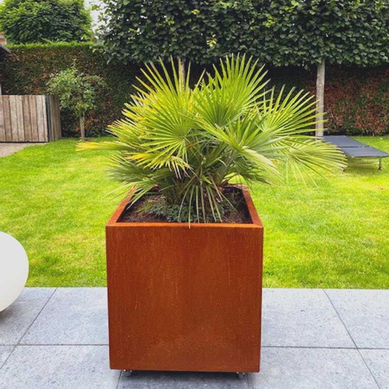 Corten acél virágláda Miami 70 x 70 cm