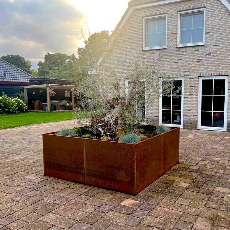 Corten acél virágláda Miami xxl 240 x 240 cm