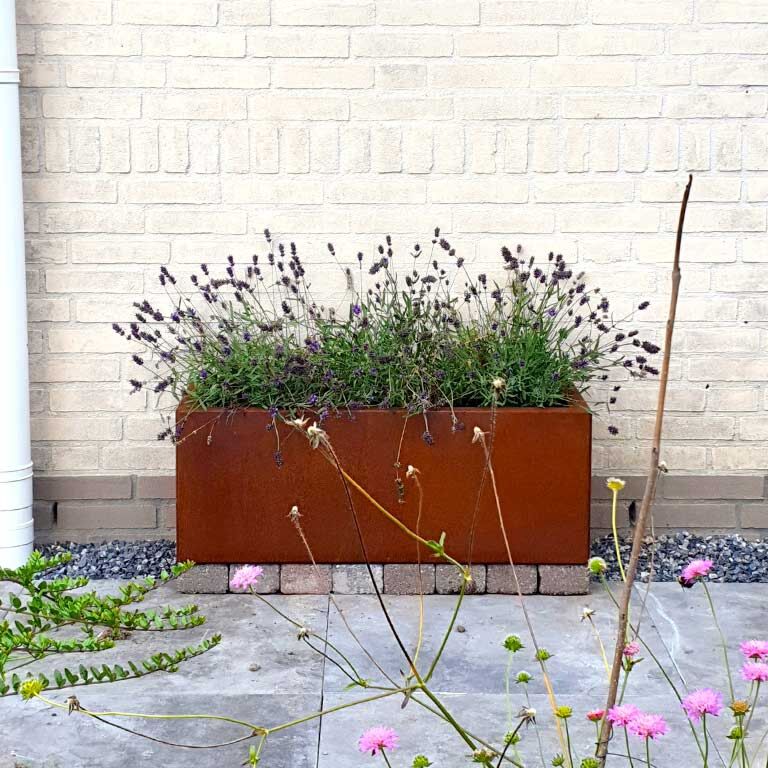 Corten acél virágláda Texas 30 x 80 cm