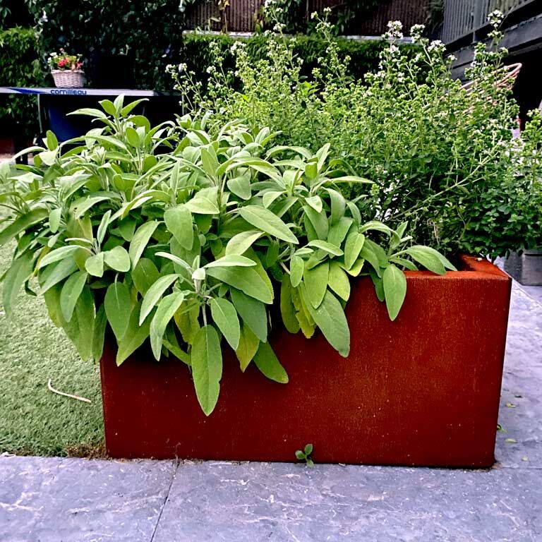 Corten acél virágláda Texas 50 x 60 cm