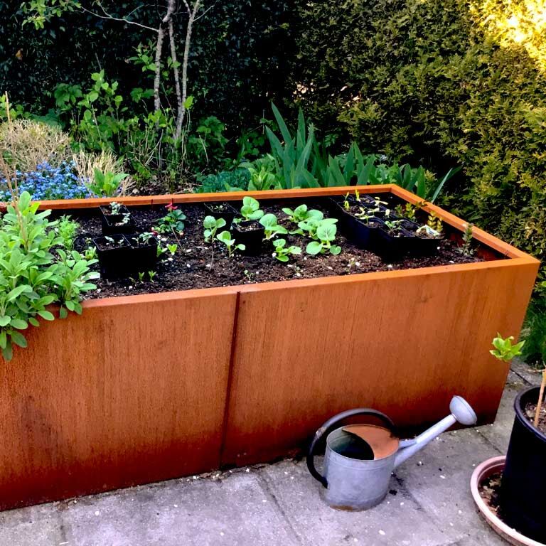 Corten acél virágláda Texas xxl 200 x 80 cm