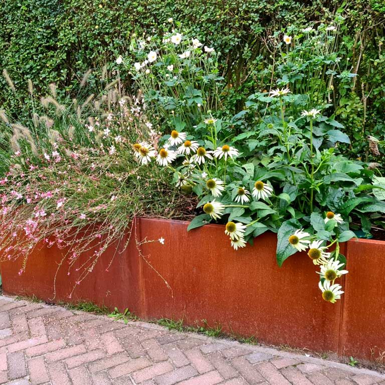 Corten acél virágláda Texas xxl 300 x 80 cm