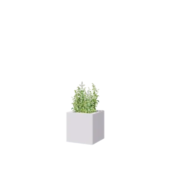 Acél virágláda - Négyzet - 30 x 30 x 30 cm - RAL9010 matt (fehér) - Fenéklemez nélkül