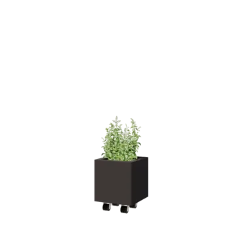 Acél virágláda - Négyzet - 30 x 30 x 30 cm - RAL7016 matt (antracitszürke) - Fenéklemezzel - Kerekekkel