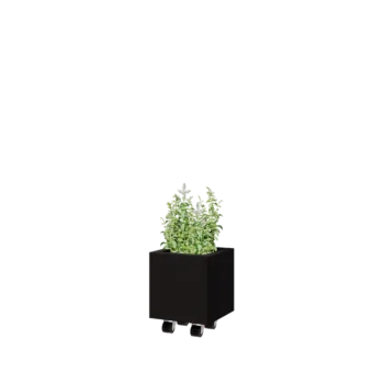 Acél virágláda - Négyzet - 30 x 30 x 30 cm - RAL9005 matt (fekete) - Fenéklemezzel - Kerekekkel
