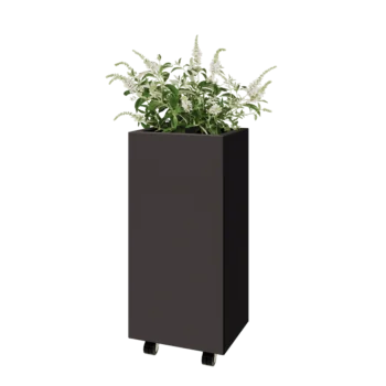 Acél virágláda - Téglalap - 40 x 30 x 80 cm - RAL7016 matt (antracitszürke) - Fenéklemezzel - Kerekekkel
