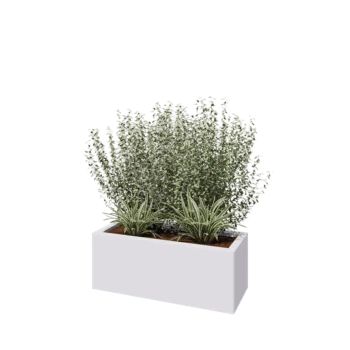 Acél virágláda - Téglalap - 80 x 30 x 30 cm - RAL9010 matt (fehér) - Fenéklemez nélkül