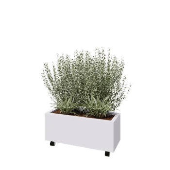 Acél virágláda - Téglalap - 80 x 30 x 30 cm - RAL9010 matt (fehér) - Fenéklemezzel - Kerekekkel