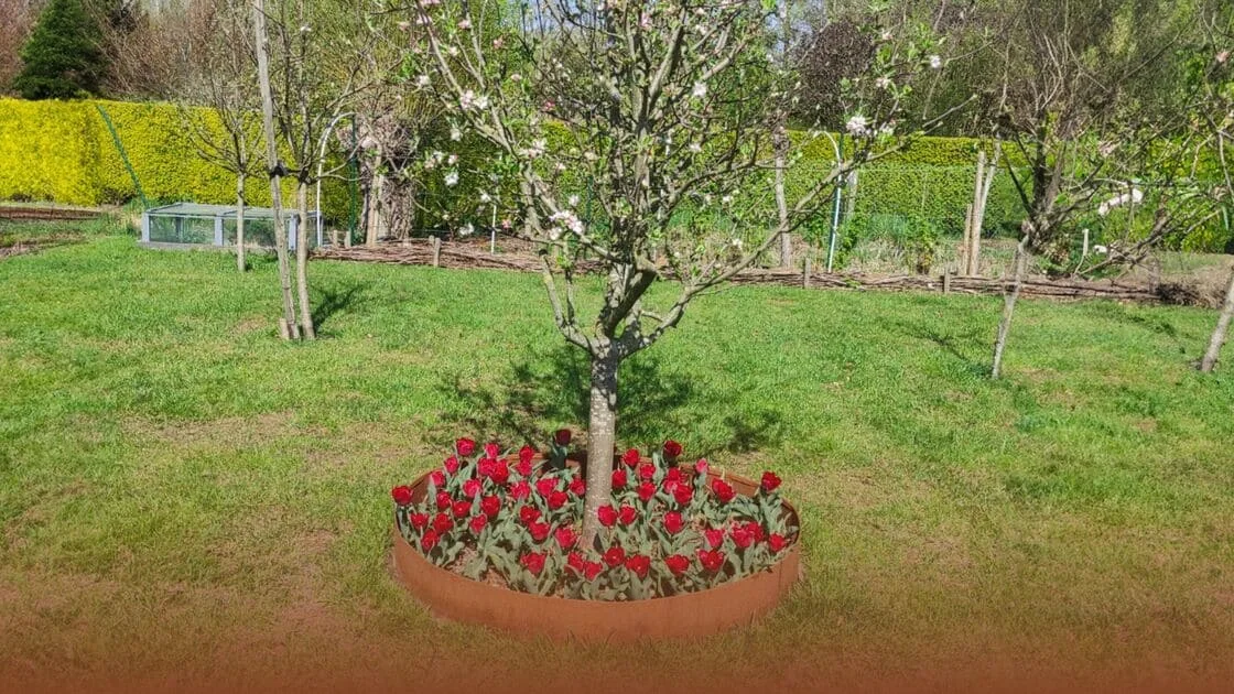 Hogyan készítsünk szegélyt egy fára?