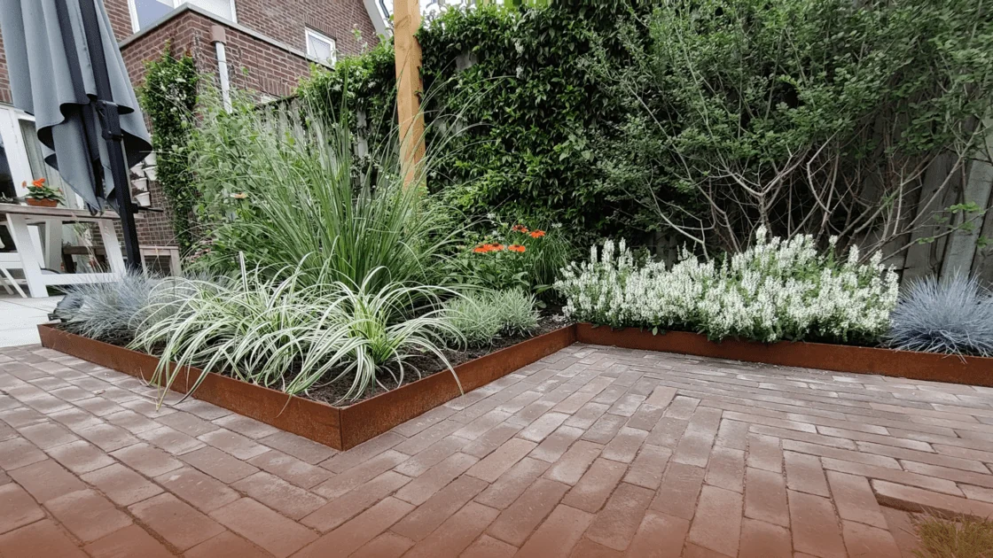 Milyen különböző szegélyhatárok léteznek?